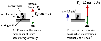 Accelerometers And Forces