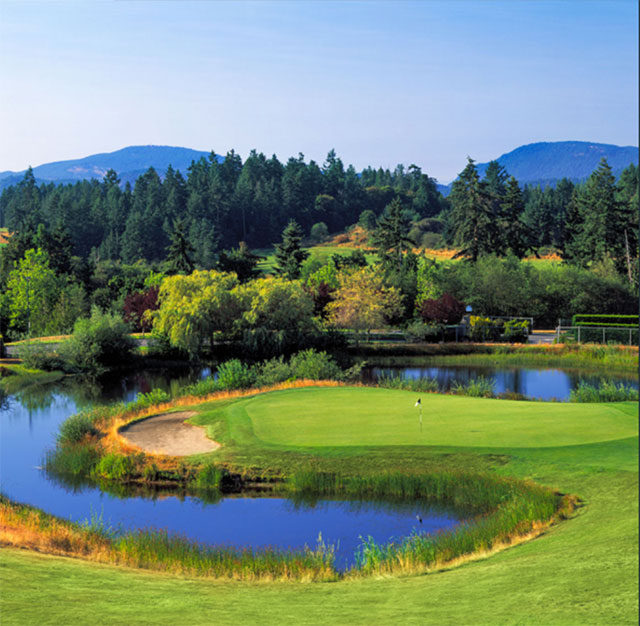 Arbutus Ridge